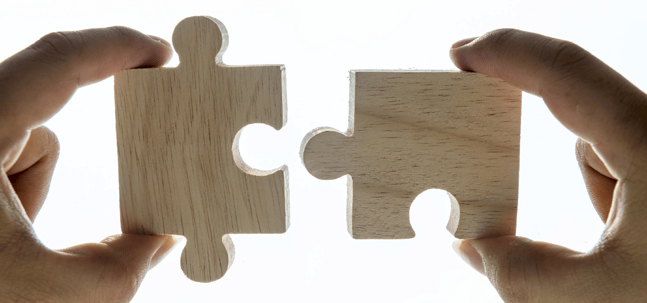 puzzle pieces of elements of leadership programs